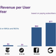 average revenue per year